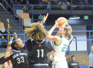 PREP BASKETBALL: Holly Pond, Cold Springs earn wins over Austin, Hackleburg