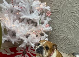 ‘Show them they’re loved and remembered during the holiday season’