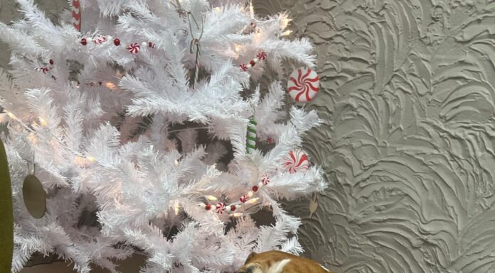 ‘Show them they’re loved and remembered during the holiday season’