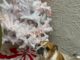 ‘Show them they’re loved and remembered during the holiday season’