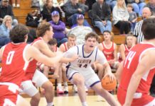 PREP BASKETBALL: Fairview picks up home wins over Vinemont