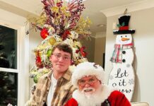 Business spotlight: Persall’s Christmas Lights