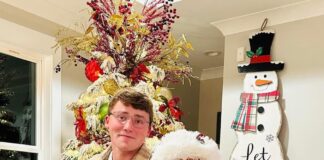 Business spotlight: Persall’s Christmas Lights