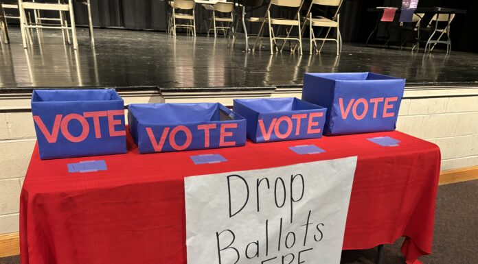 Fairview High students participate in mock election