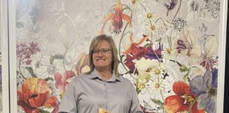 ‘Fruitful’: The Link honors volunteers