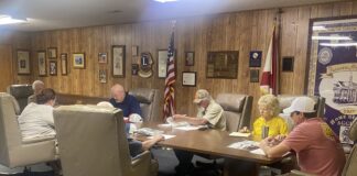 Fairview council talks park plan progress