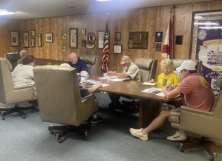 Fairview council talks park plan progress