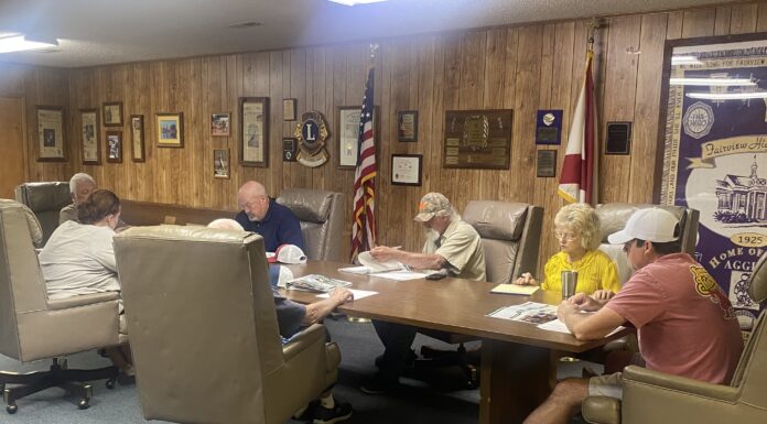 Fairview council talks park plan progress