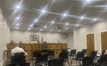 Baileyton council sees 2 resignations