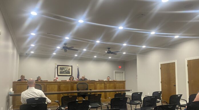Baileyton council sees 2 resignations