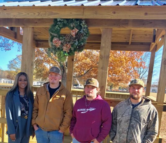 Guest editorial: Generous-spirited angels