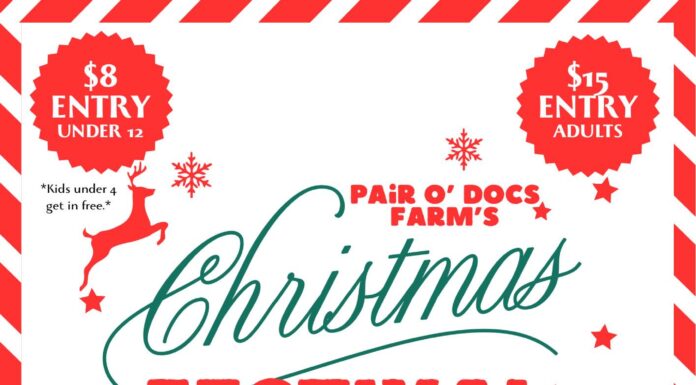 Pair O’ Docs Farm 2024 Christmas Festival coming Dec. 14