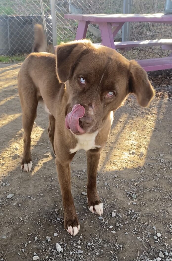 C28B92F8-8850-4B2D-8445-B1133F75C5A6