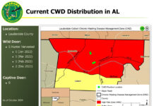 WFF samples 356 deer for CWD on opening weekend
