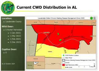 WFF samples 356 deer for CWD on opening weekend