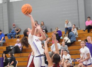 PREP BASKETBALL: Fairview splits varsity matchups with Section