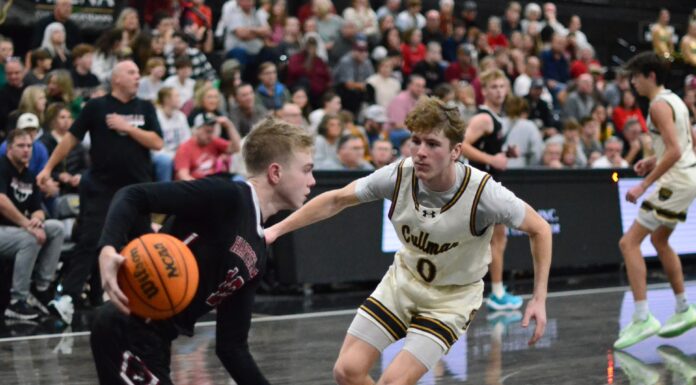 PREP BASKETBALL: Cullman earns 74-55 win over Hartselle; Lady Bearcats fall 54-40