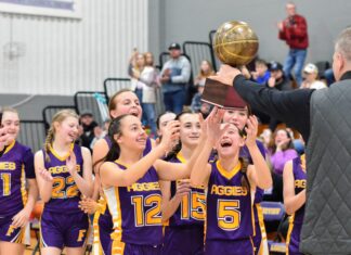MIDDLE SCHOOL BASKETBALL: Fairview, West Point capture county titles
