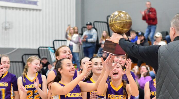 MIDDLE SCHOOL BASKETBALL: Fairview, West Point capture county titles