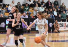 PREP BASKETBALL: Hanceville splits area openers against Locust Fork