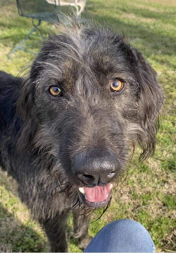 F044DAF7-BD57-4113-81FB-209F70E1E0AB