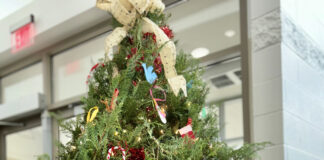 Festival of Trees happening at CWAC