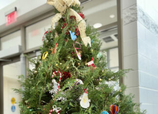 Festival of Trees happening at CWAC