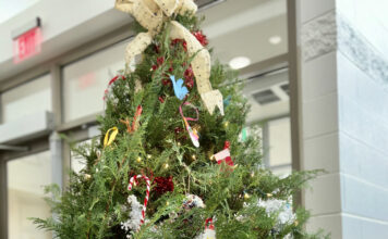 Festival of Trees happening at CWAC