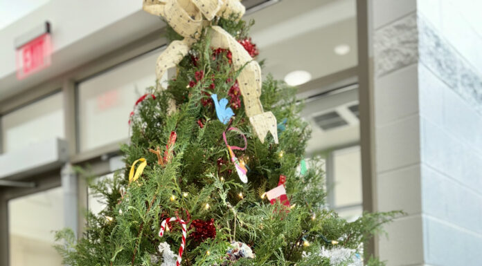 Festival of Trees happening at CWAC