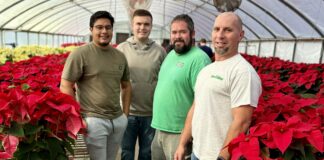 Poinsettia sale happening now at WSCC Agribusiness Center