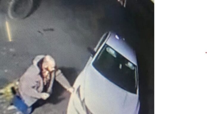 Cullman man struck, killed by vehicle Sunday