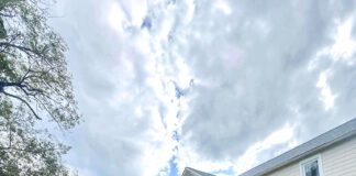 Spilling the tea on a great new eatery