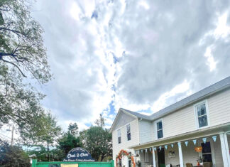 Spilling the tea on a great new eatery