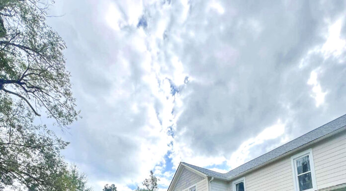 Spilling the tea on a great new eatery