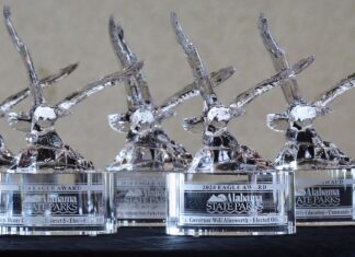 Nominations open for Eagle Awards to honor special contributors to Alabama State Parks