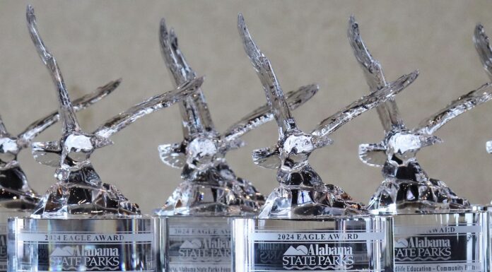 Nominations open for Eagle Awards to honor special contributors to Alabama State Parks