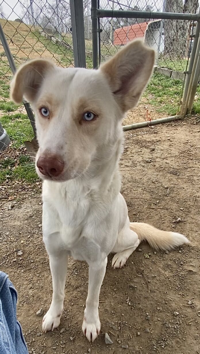 01A87F75-9CA4-4F78-B2C4-AA0059858554