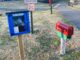 Local woman promotes Little Free Libraries