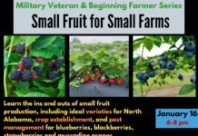 Agriplex hosting Small Fruit Farming Workshop for beginners and veterans Jan. 16