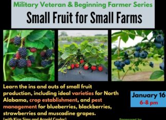 Agriplex hosting Small Fruit Farming Workshop for beginners and veterans Jan. 16