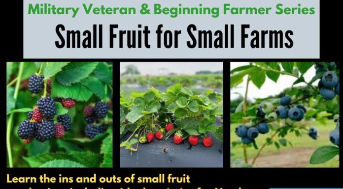 Agriplex hosting Small Fruit Farming Workshop for beginners and veterans Jan. 16