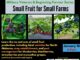 Agriplex hosting Small Fruit Farming Workshop for beginners and veterans Jan. 16