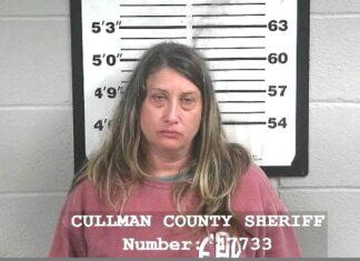 Christy Willoughby arrested for violating diversion and conditional release orders