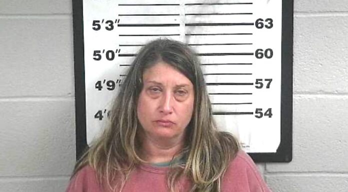 Christy Willoughby arrested for violating diversion and conditional release orders