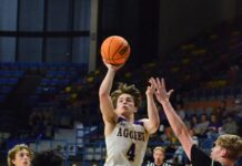 JV COUNTY TOURNAMENT: Aggies advance with 42-28 win over Holly Pond