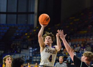 JV COUNTY TOURNAMENT: Aggies advance with 42-28 win over Holly Pond