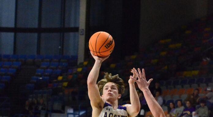 JV COUNTY TOURNAMENT: Aggies advance with 42-28 win over Holly Pond