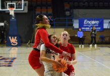 JV COUNTY TOURNAMENT: Fairview advances to semifinals with 48-33 win over Vinemont