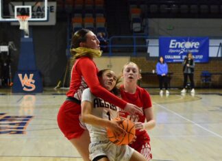 JV COUNTY TOURNAMENT: Fairview advances to semifinals with 48-33 win over Vinemont