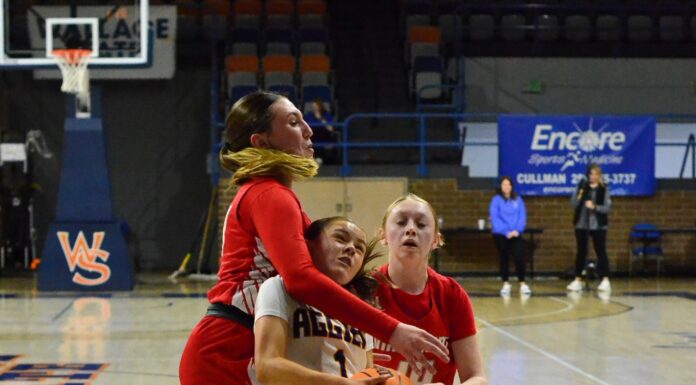 JV COUNTY TOURNAMENT: Fairview advances to semifinals with 48-33 win over Vinemont